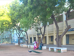 Admission SRC College